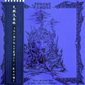 From Stardust Bled Into Soil - The Trees Whisper