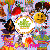 Looking Through a Glass Onion: The Beatles' Psychedelic Songbook 1966-72