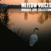 Mellow Voices: Wonder Love Collection