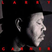 Strangers Blues by Larry Garner