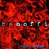 Bluebells by Banoffi