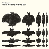 What It’s Like to Be a Bat