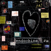 Without Love by Endochine