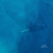Life