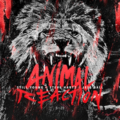 Animal Reaction