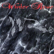 Winter Rose (1997 Re-Release)