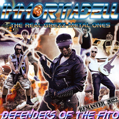 Defenders Of The Fito