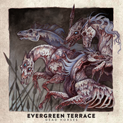 When You're Born In The Gutter, You End Up In The Port by Evergreen Terrace