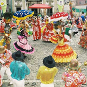 maracatu leão coroado