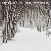 Liam Payne: All I Want (For Christmas)