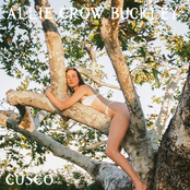 Allie Crow Buckley: Cusco