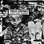 I Am The Stranger by Pinhead Gunpowder