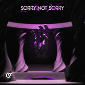 Sorry Not Sorry