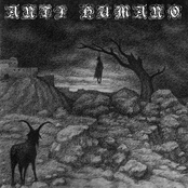 Sobald Der Wolf Blut Geschmeckt Hat, Stoppt Es Nicht, Ihnen Zu Folgen