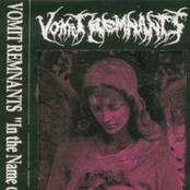 In The Name Of Vomit (Demo)