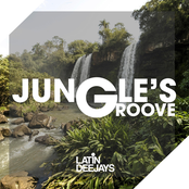 Jungle's Groove