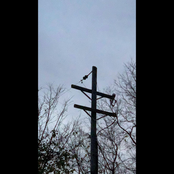 Eternal Return, Vol. I