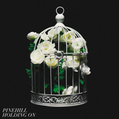 Holding On - Single
