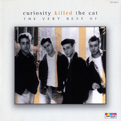 Who Are You by Curiosity Killed The Cat