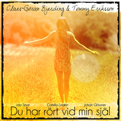 Du har rört vid min själ