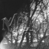 The Cipramil Sessions