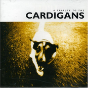A Tribute To The Cardigans