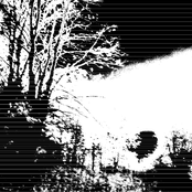 le musics 2013-16 (2)