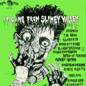 It Came from Slimey Valley