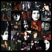 Strange Boutique: The Collection: 1998-1994