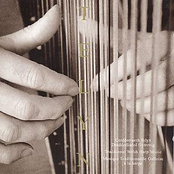 Telyn / Traditional Welsh Harp Music