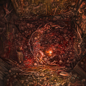 Mosaic of Morbid Manifestation