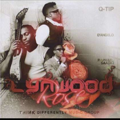Lynwood Rose