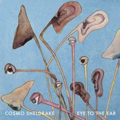 Cosmo Sheldrake - Eye to the Ear Artwork