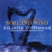 Atlantic Driftwood