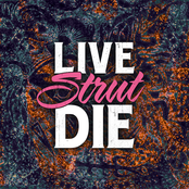 Live.Strut.Die.