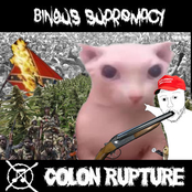 BINGUS SUPREMACY
