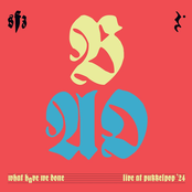 What Have We Done - Live At Pukkelpop '24
