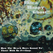 How The Beach Boys Sound To Those With No Feelings by Extra Happy Ghost!!!