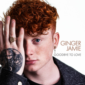 Goodbye to Love - Single