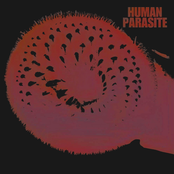 Human Parasite