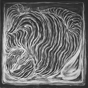 Someone Stole My Mattress, Now I Sleep On The Floor