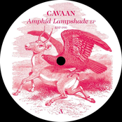 Amphid Lampshade EP