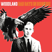 Bad Days In Disguise