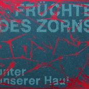 Warum Drehst Du Nicht Durch? by Früchte Des Zorns