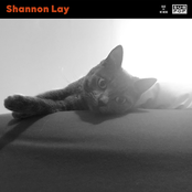 Shannon Lay: Blue
