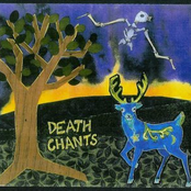 Ceremonies In Gull Sanctuaries by Death Chants