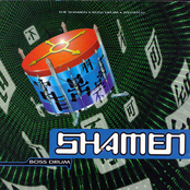 Re:evolution by The Shamen