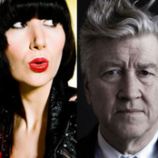 david lynch feat. karen o