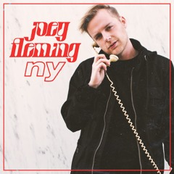 Joey Fleming: Ny - Single