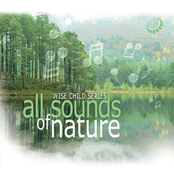 All Sound of Nature (Wise Child Series)